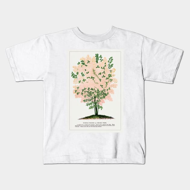 Purple Fringe Tree lithograph (1900) Kids T-Shirt by WAITE-SMITH VINTAGE ART